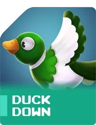 DUCK DOWN